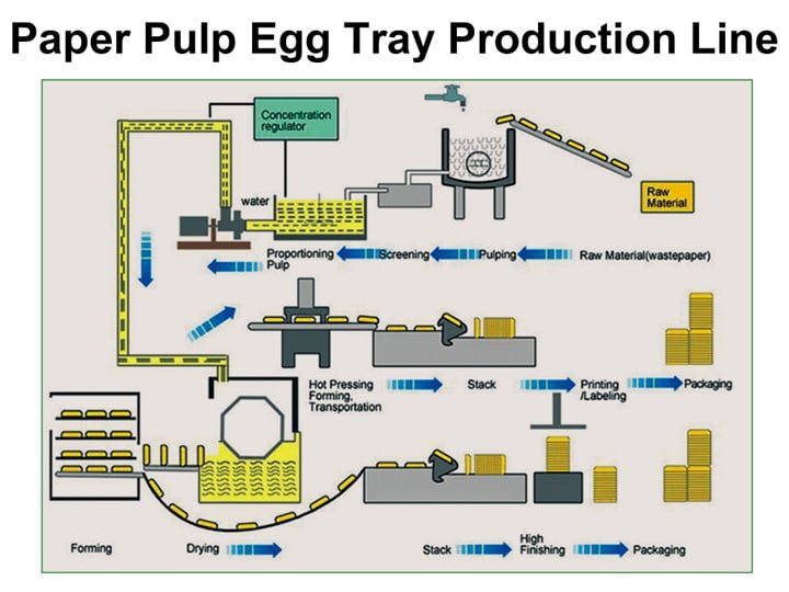 Paper pulp egg tray production line