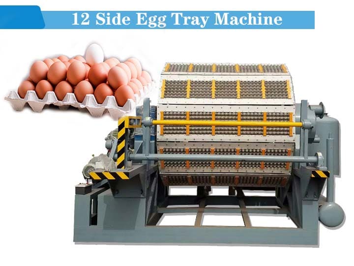 12-sided egg carton machine