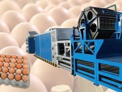 Продам завод по производству бумажных лотков для яиц