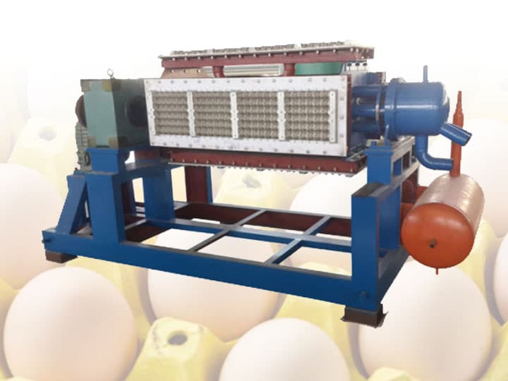 Paper egg tray machine supplier