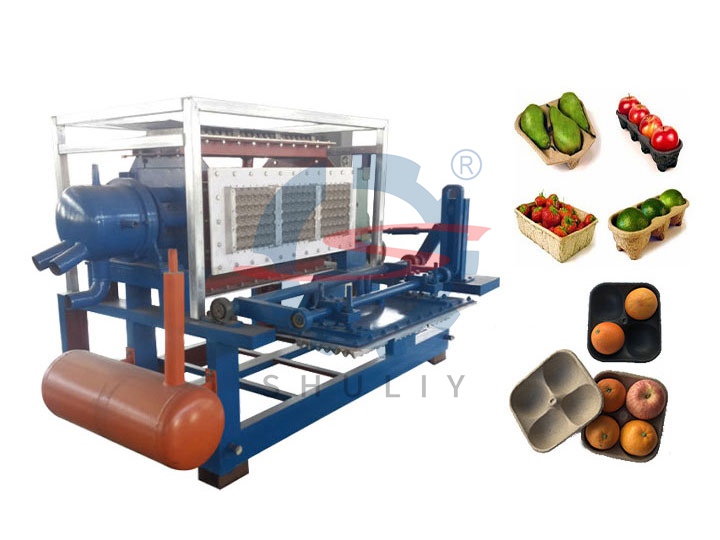 Invest in apple tray making machine