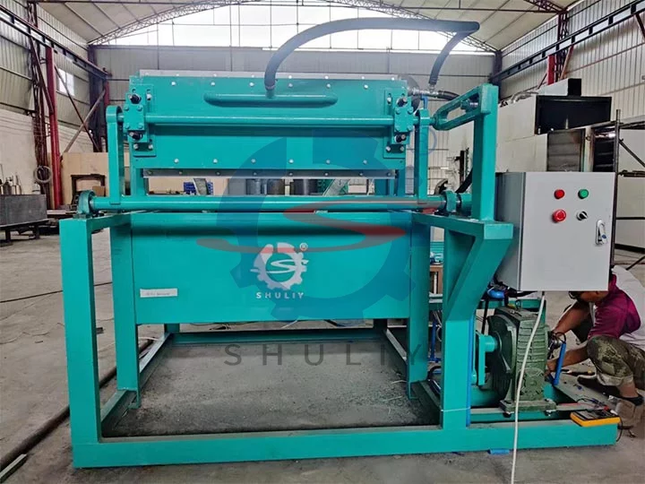 Pulp egg tray machine cost