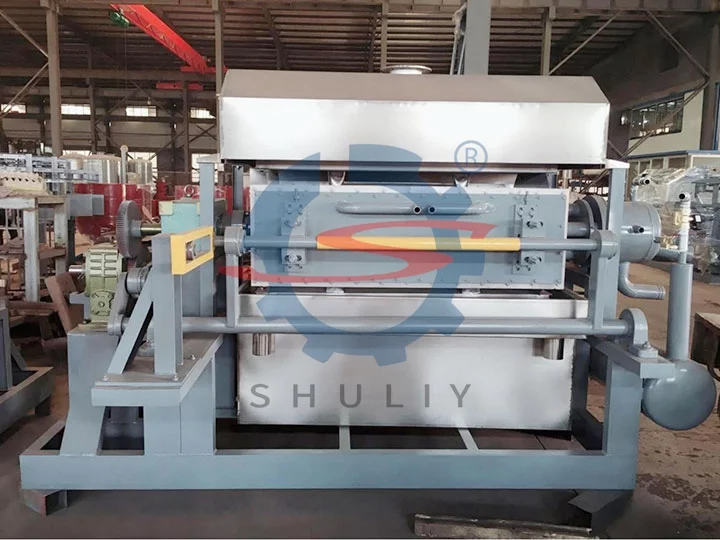 Pulp molding machine from shuliy