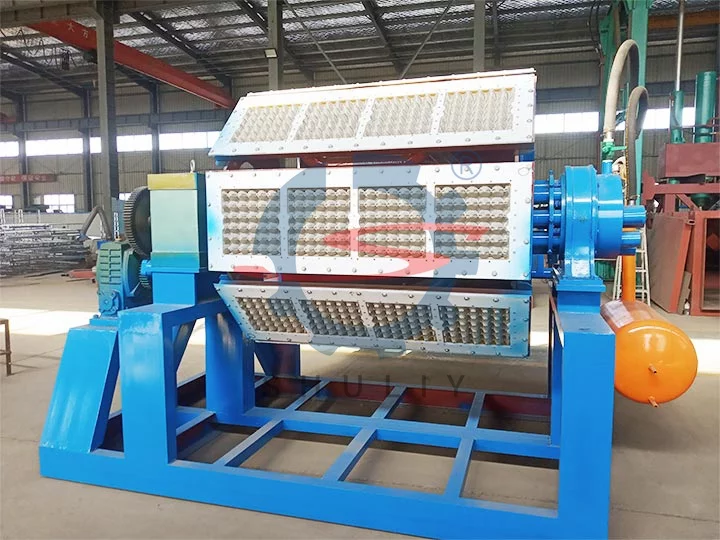 Egg tray making machine cost from china